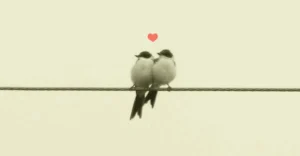 Love Worth Keeping: Understanding What Truly Matters
