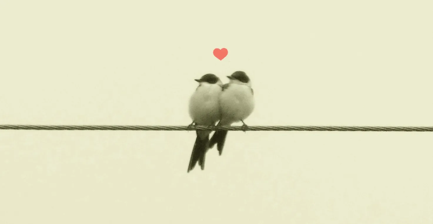 Love Worth Keeping: Understanding What Truly Matters