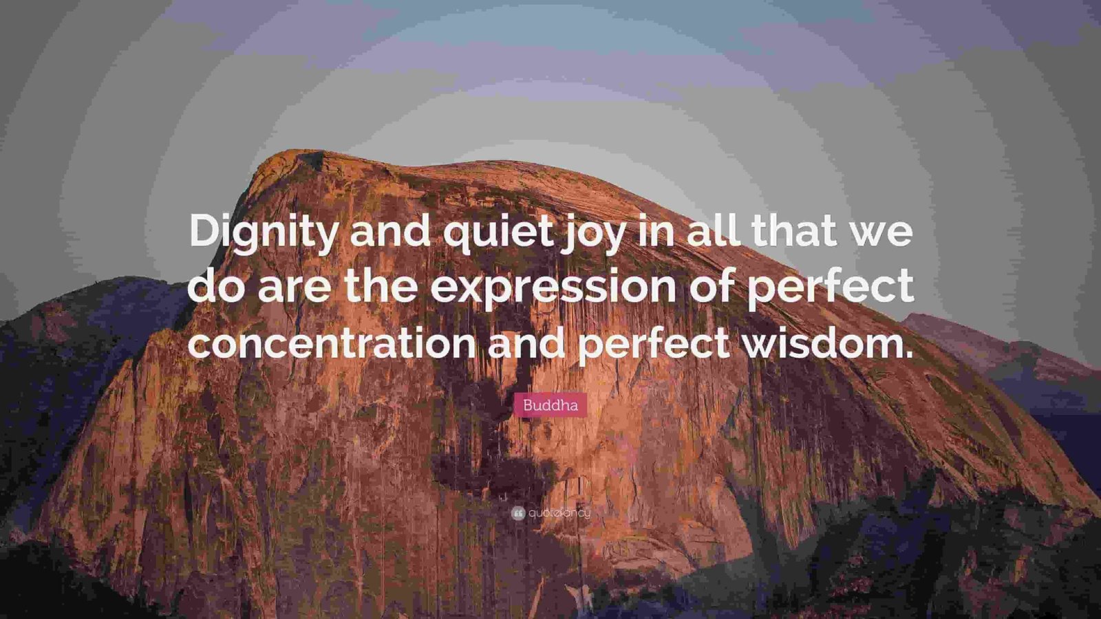 Dignity